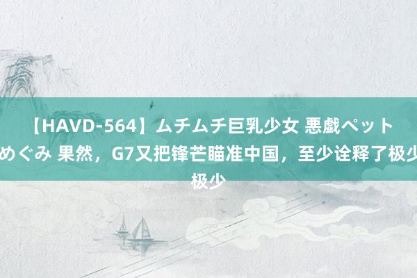 【HAVD-564】ムチムチ巨乳少女 悪戯ペット めぐみ 果然，G7又把锋芒瞄准中国，至少诠释了极少