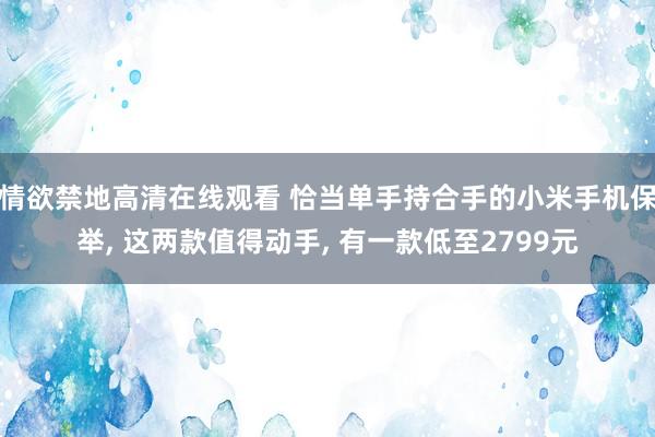 情欲禁地高清在线观看 恰当单手持合手的小米手机保举, 这两款值得动手, 有一款低至2799元