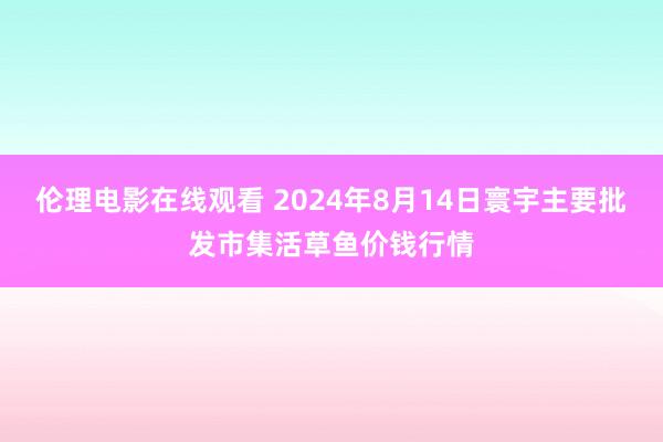 伦理电影在线观看 2024年8月14日寰宇主要批发市集活草鱼价钱行情
