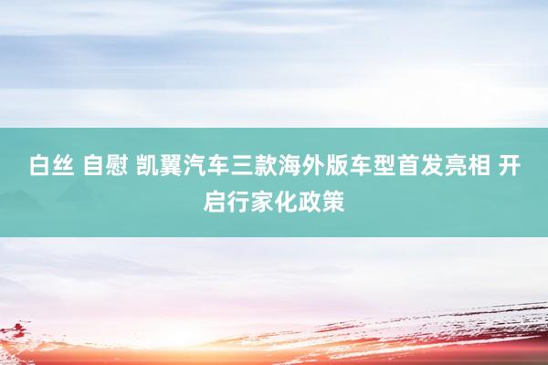 白丝 自慰 凯翼汽车三款海外版车型首发亮相 开启行家化政策