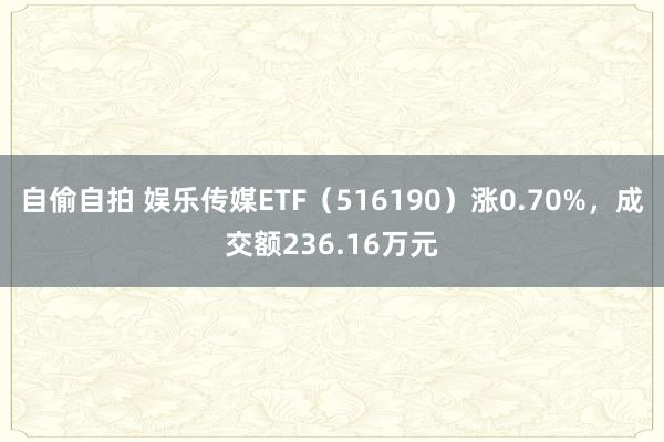 自偷自拍 娱乐传媒ETF（516190）涨0.70%，成交额236.16万元