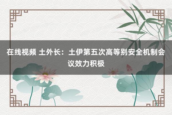 在线视频 土外长：土伊第五次高等别安全机制会议效力积极