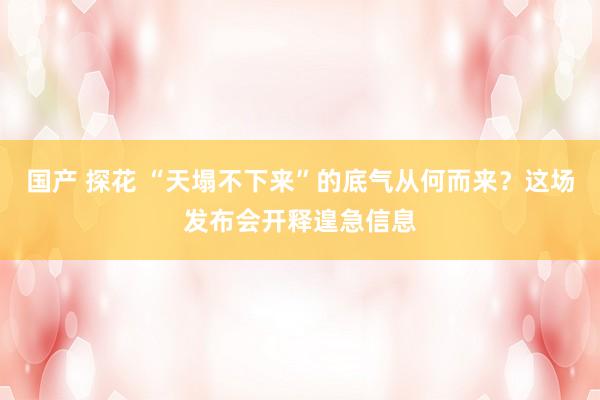 国产 探花 “天塌不下来”的底气从何而来？这场发布会开释遑急信息