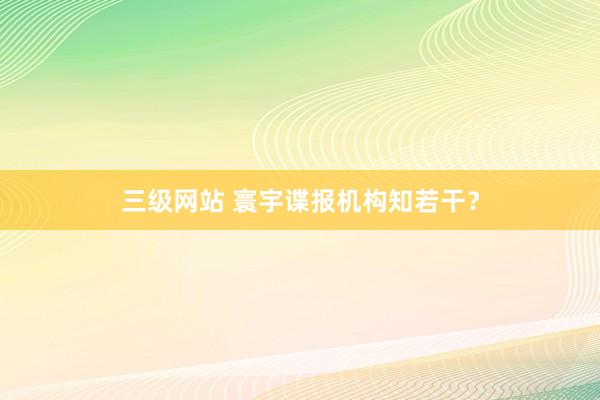 三级网站 寰宇谍报机构知若干？