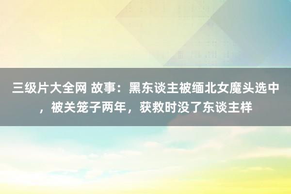 三级片大全网 故事：黑东谈主被缅北女魔头选中，被关笼子两年，获救时没了东谈主样