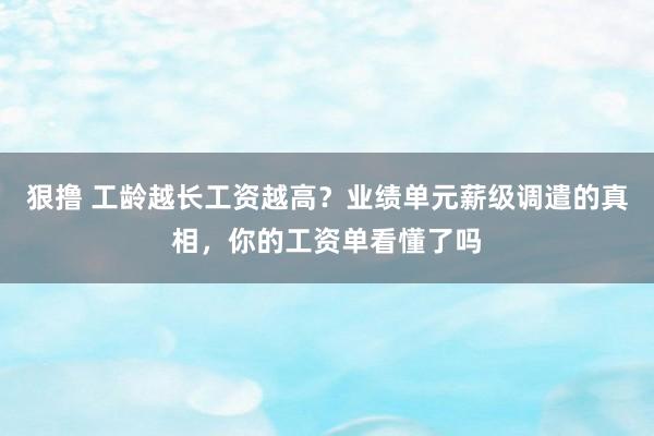 狠撸 工龄越长工资越高？业绩单元薪级调遣的真相，你的工资单看懂了吗