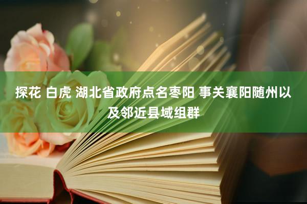 探花 白虎 湖北省政府点名枣阳 事关襄阳随州以及邻近县域组群