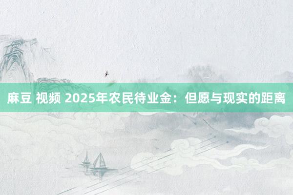 麻豆 视频 2025年农民待业金：但愿与现实的距离