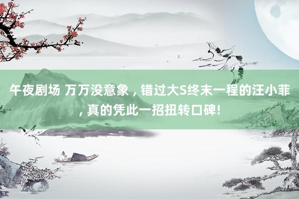 午夜剧场 万万没意象 , 错过大S终末一程的汪小菲, 真的凭此一招扭转口碑!