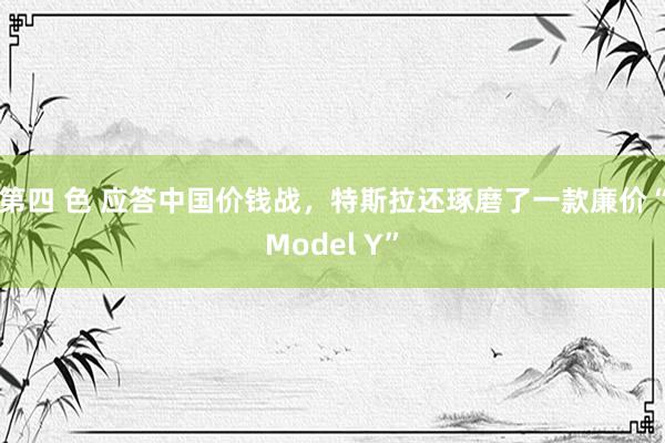 第四 色 应答中国价钱战，特斯拉还琢磨了一款廉价“Model Y”