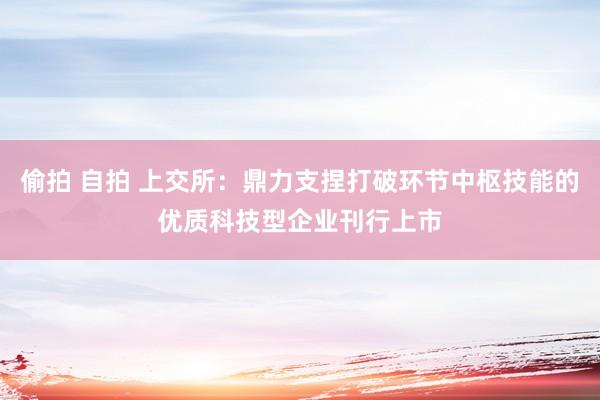 偷拍 自拍 上交所：鼎力支捏打破环节中枢技能的优质科技型企业刊行上市