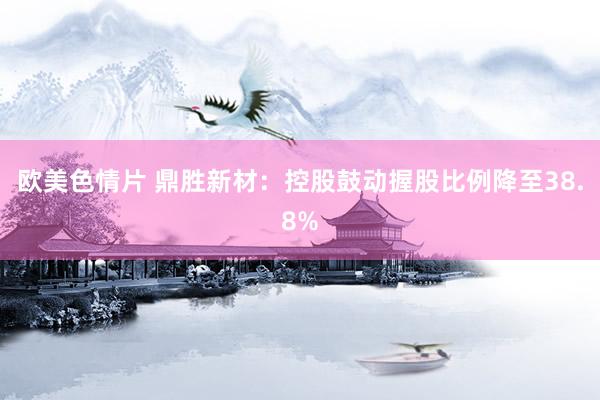 欧美色情片 鼎胜新材：控股鼓动握股比例降至38.8%