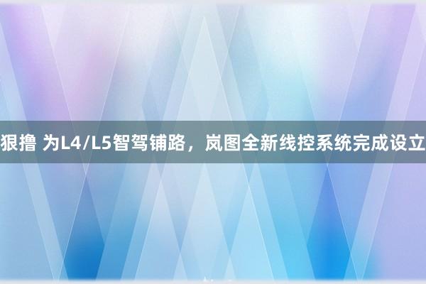 狠撸 为L4/L5智驾铺路，岚图全新线控系统完成设立